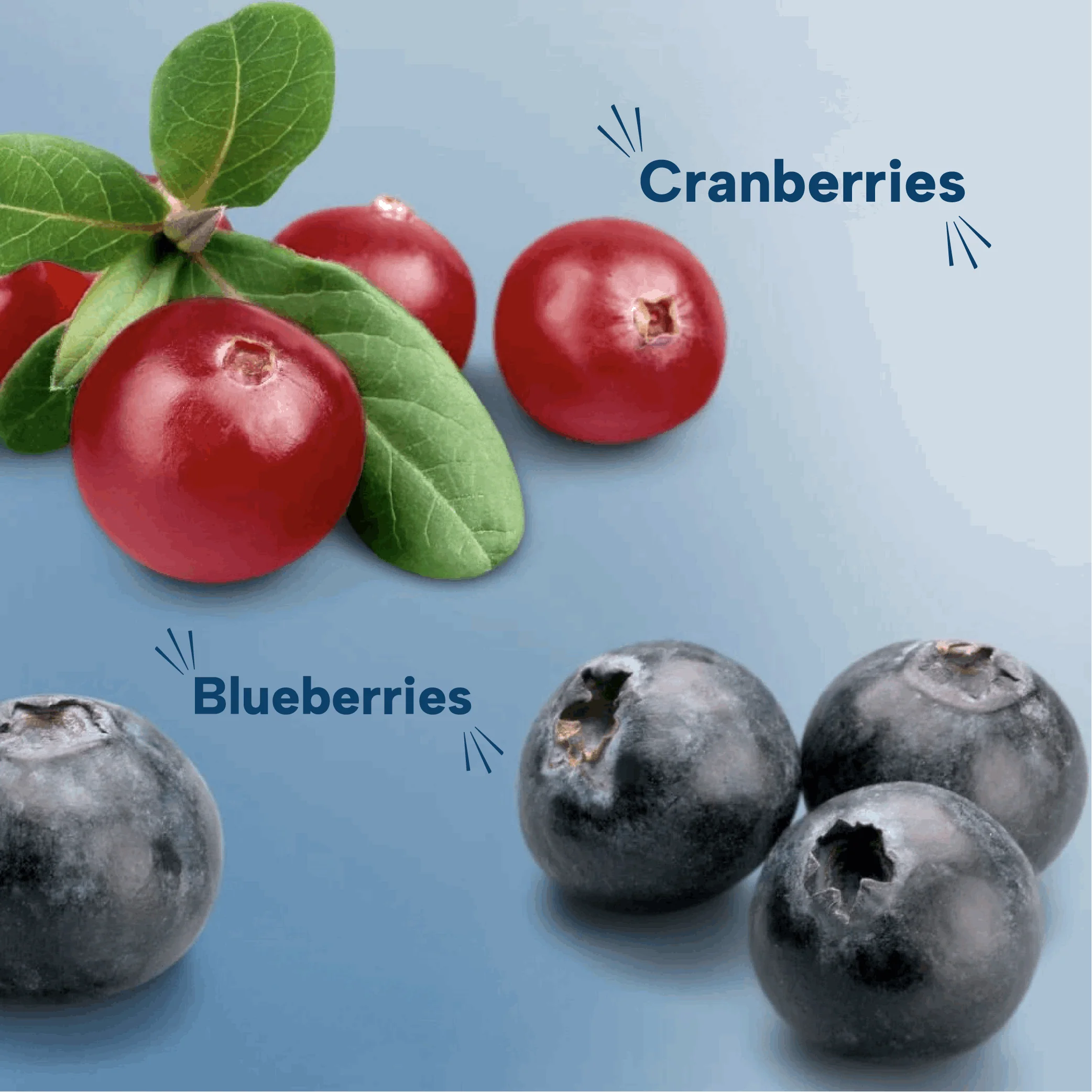 Millet Multigrain Bars - Blueberry & Cranberry Superfruit (Pack of 6) - Image 6